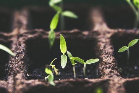 The World of Managed Services: Anteris Solutions Inc.’s Growth Pattern Mirrors National Trends